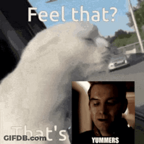Feel That's Yummers GIF