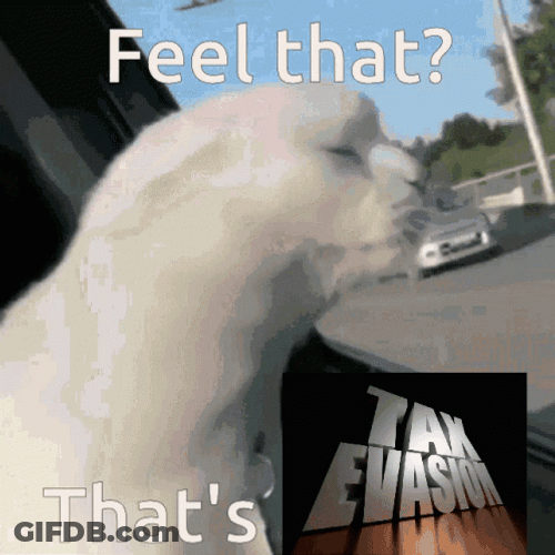 Feel That That's Taxes Evasion GIF