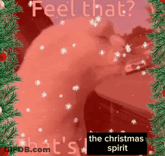 Feel That Thats Christmas Spirit Meme GIF