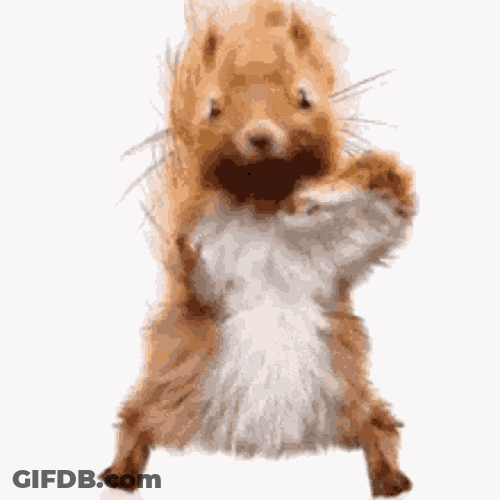 Feel The Beat Get Down GIF
