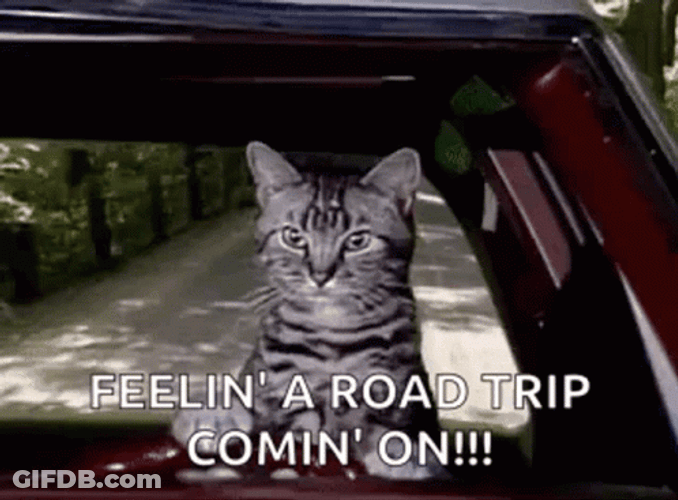 Feelin' A Road Trip Comin' On GIF