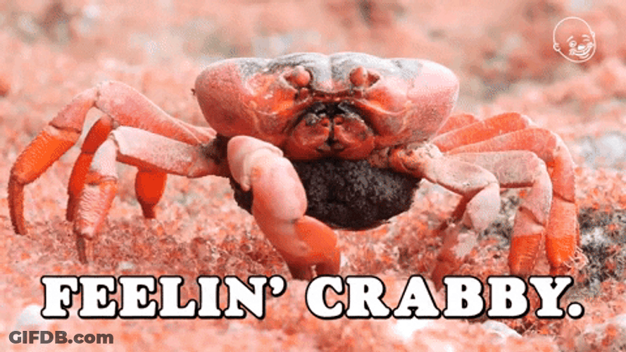 Feeling Crabby Crab Rave GIF