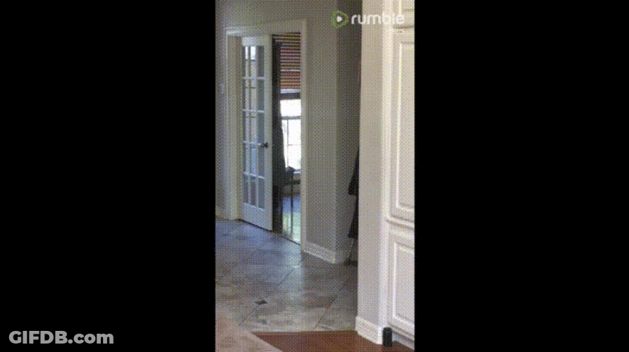 Feet Hurt Dog Imitating Injured Owner GIF