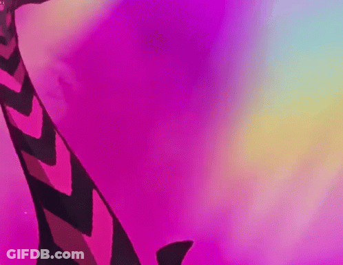 Feet On Pink Rainbow Background GIF