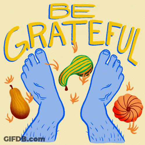 Feet Saying You Are On Native Land GIF