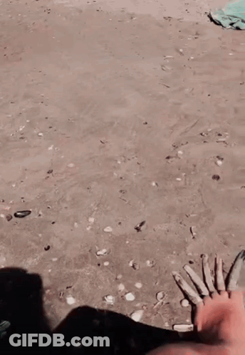 Feet Sticking Out Of Water Reaching GIF