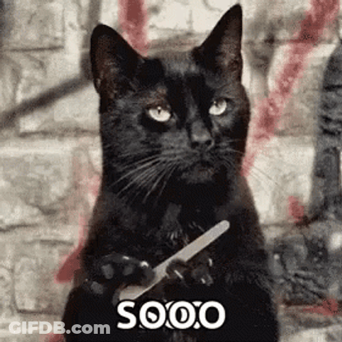 Feisty Black Cat Nail File Soo GIF