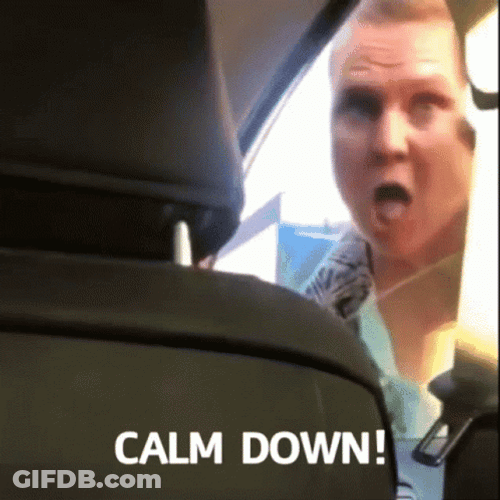 Feisty Karen Calm Down GIF