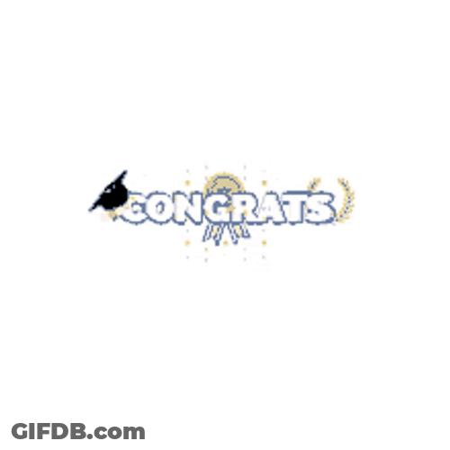 Felicidades Congratulations Graduation Celebration Sparkles GIF