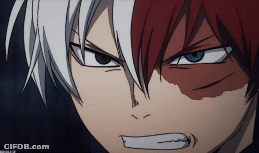 Feline Eyes Shoto Todoroki GIF