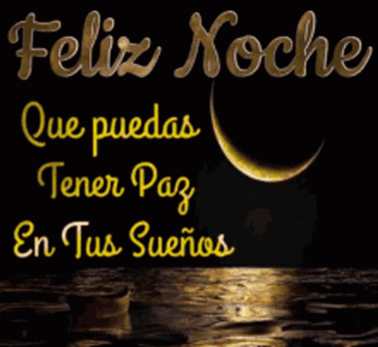 Felix Noche Shining Moon GIF
