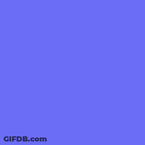 Feliz 2024 GIF