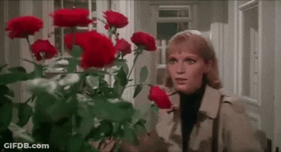 Feliz Aniversario GIF