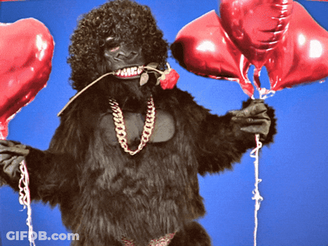 Feliz Aniversario GIF