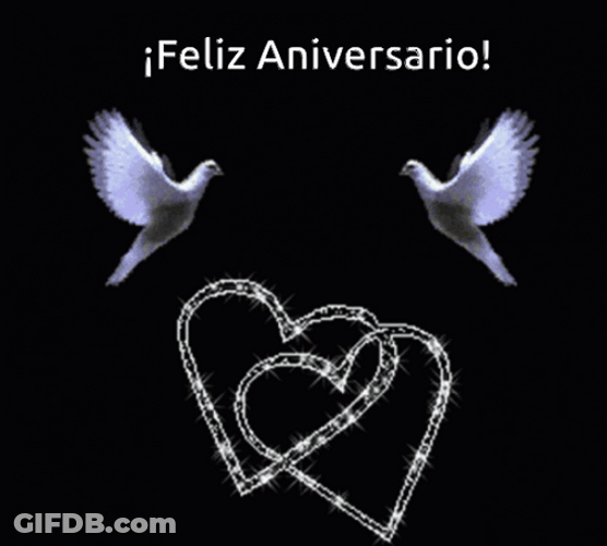 Feliz Aniversario De Bodas GIF