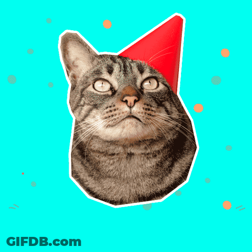 Feliz Aniversario De Bodas GIF