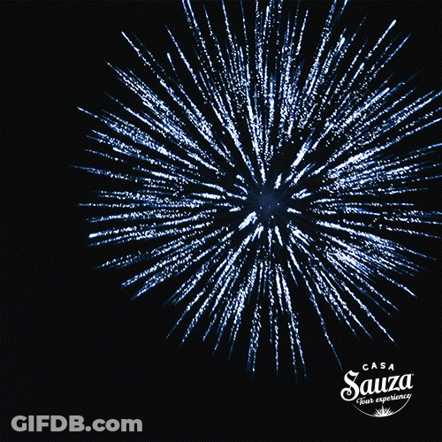 Feliz Año 2024 GIF