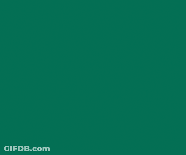 Feliz Año Nuevo GIF