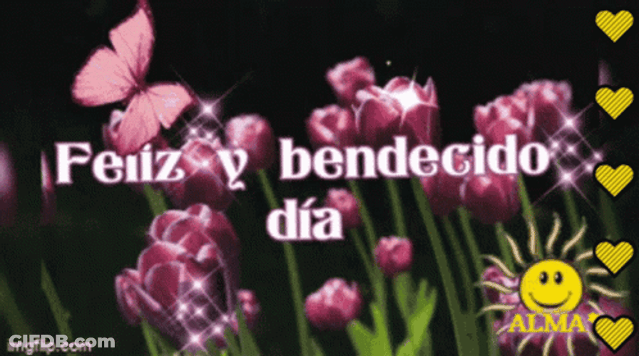 Feliz Bendecido Dia Beautiful Sunshine GIF