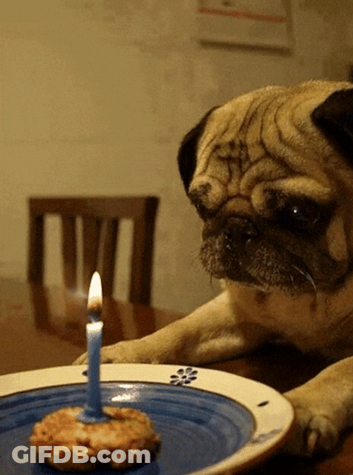 Feliz Cumple GIF