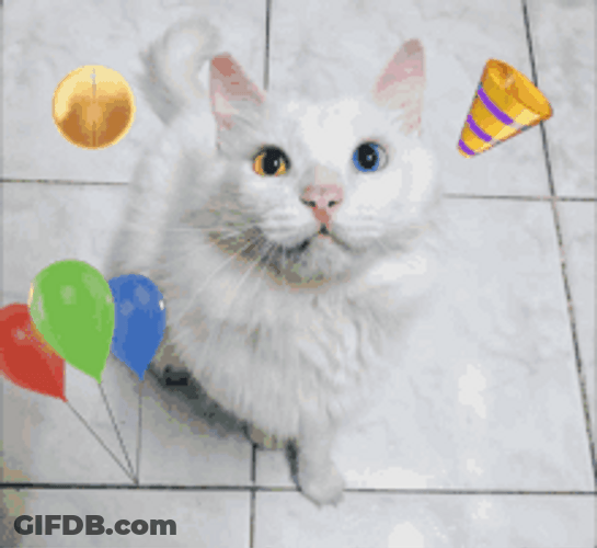Feliz Cumpleaños Emoji And Cat GIF