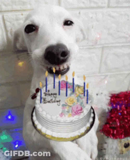 Feliz Cumpleaños Meme GIF
