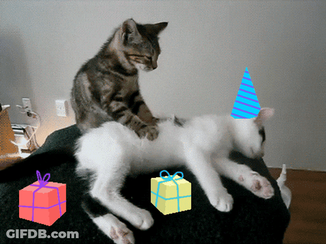 Feliz Cumpleaños Meme GIF