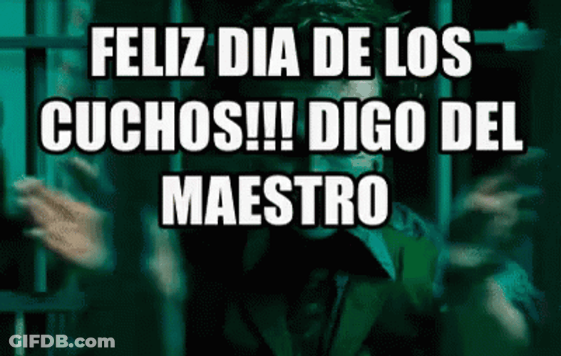Feliz Dia De La Educadora GIF
