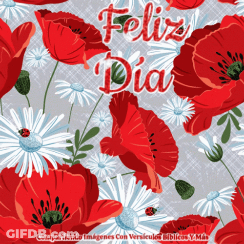 Feliz Dia De La Educadora GIF