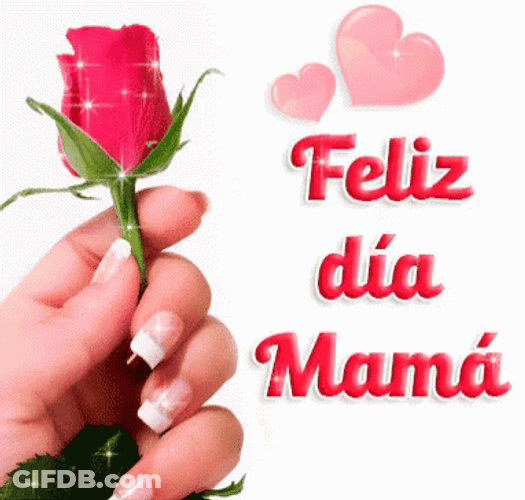 Feliz Dia De La Madre Pink Tulips GIF