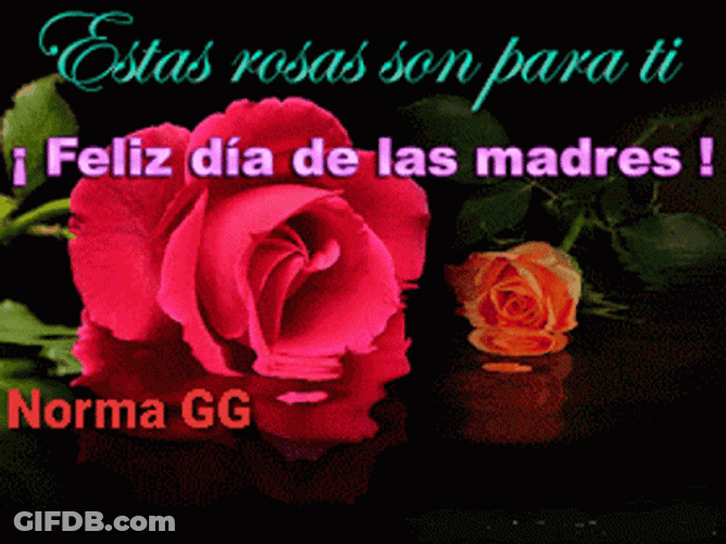 Feliz Dia De La Madre Sparkling Rose Reflection GIF