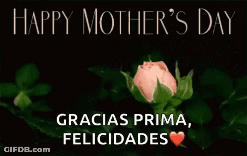 Feliz Dia De La Madres Blooming Rose GIF