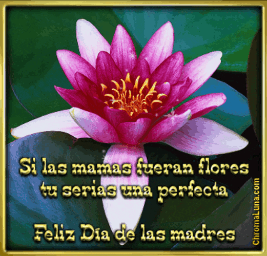 Feliz Dia De La Madres Glittery Floral Bloom GIF