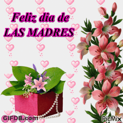 Feliz Dia De Las Madres Alma Pink Flowers GIF