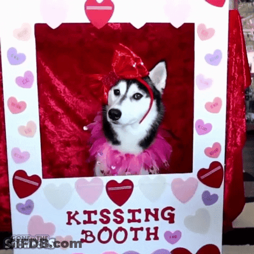 Feliz Dia De San Valentin Booth GIF