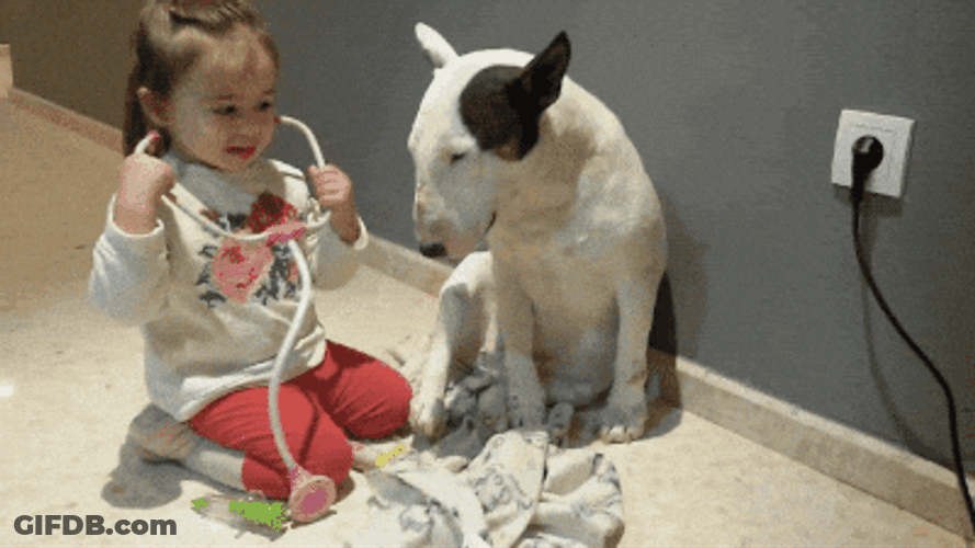 Feliz Dia Del Medico GIF