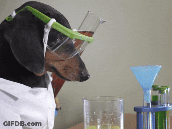 Feliz Dia Del Quimico GIF