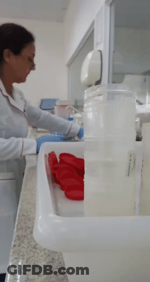 Feliz Dia Del Quimico GIF
