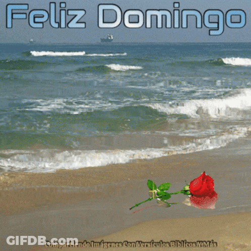 Feliz Domingo Beach Scene GIF