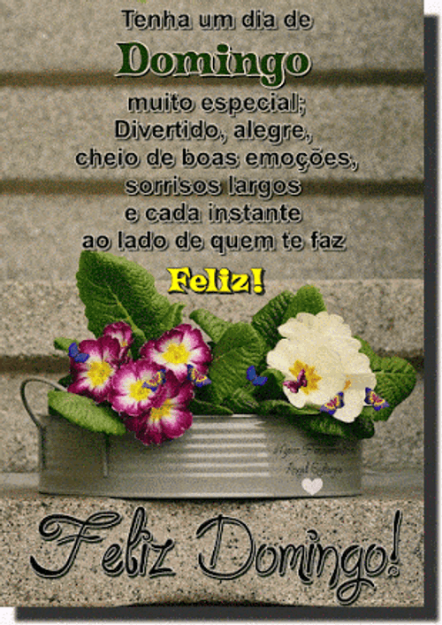 Feliz Domingo Butterflies On Flowers Design GIF