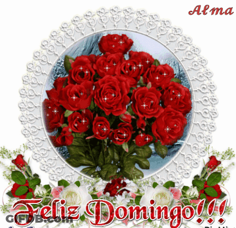 Feliz Domingo Greeting Card GIF