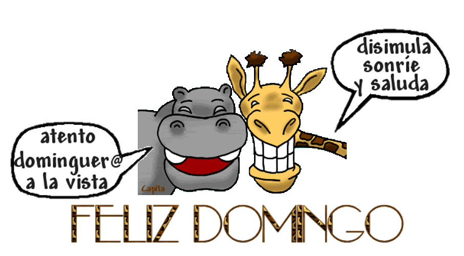 Feliz Domingo Hippo And Giraffe Cartoon GIF