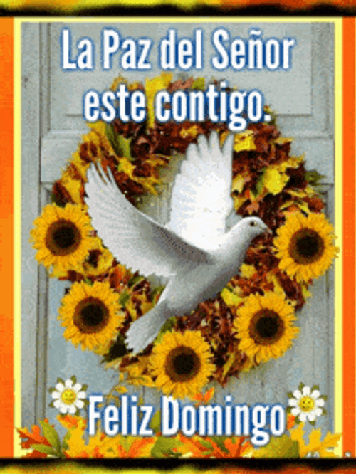 Feliz Domingo Sunflowers And Dove Background GIF