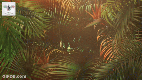 Feliz Fiesta De Cabana Sign Surrounded By Palm Leaves GIF