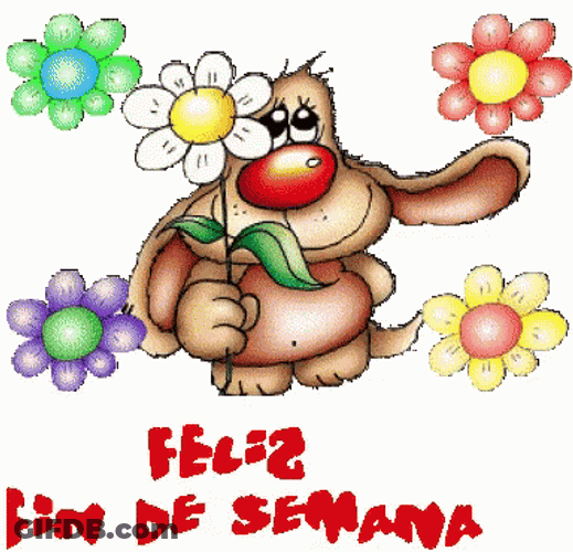 Feliz Fin De Semana GIF