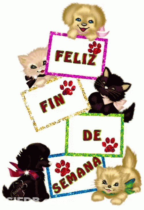 Feliz Fin De Semana GIF