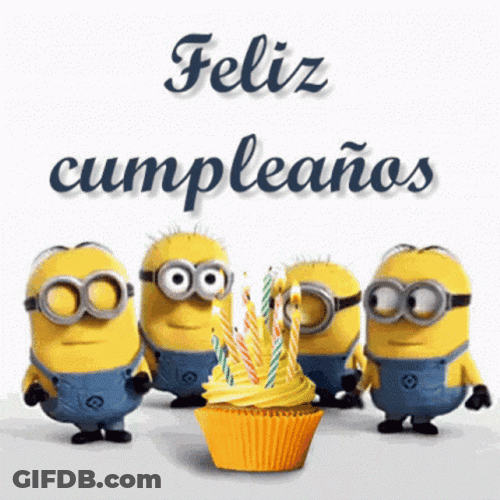 Feliz GIF