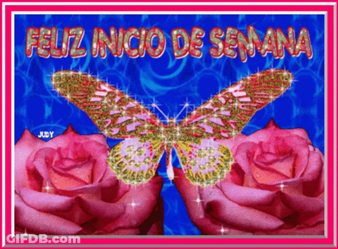 Feliz Inicio De Semana GIF