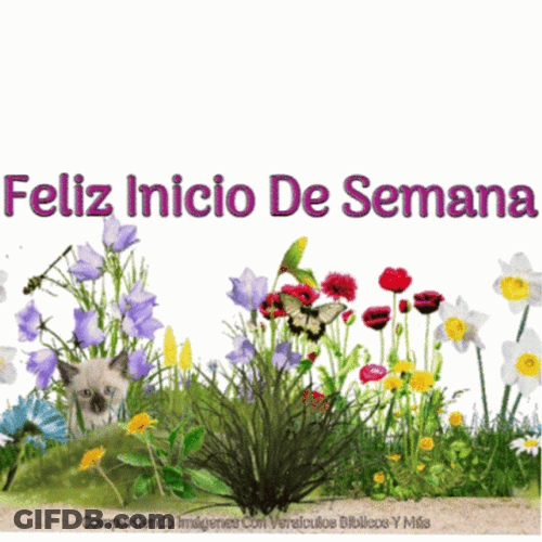 Feliz Inicio De Semana GIF