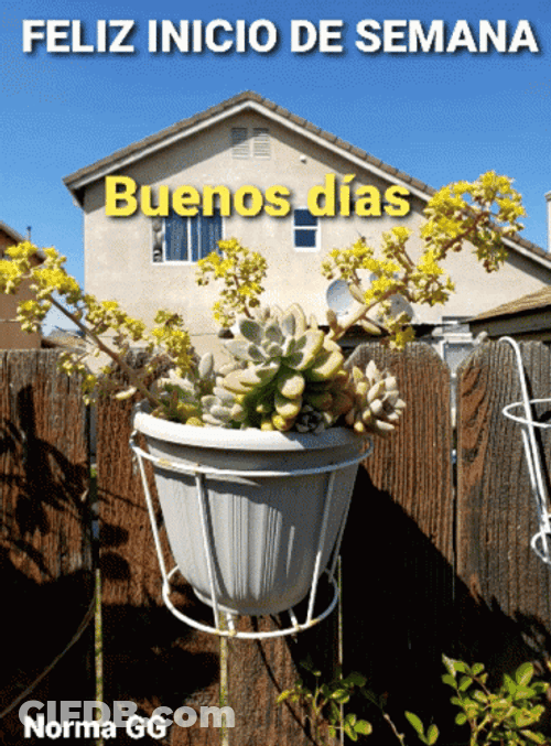 Feliz Inicio De Semana GIF